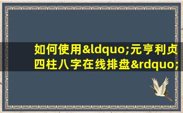 如何使用“元亨利贞四柱八字在线排盘”进行八字排盘