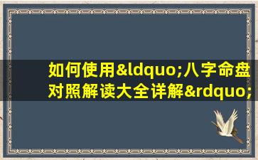 如何使用“八字命盘对照解读大全详解”进行详细解读