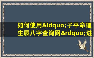 如何使用“子平命理生辰八字查询网”进行个人命理分析