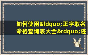 如何使用“正字取名命格查询表大全”进行姓名分析与选择