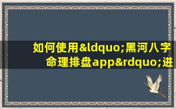 如何使用“黑河八字命理排盘app”进行个人命理分析