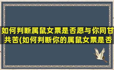 如何判断属鼠女票是否愿与你同甘共苦(如何判断你的属鼠女票是否真心愿意与你同甘共苦)