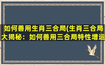 如何善用生肖三合局(生肖三合局大揭秘：如何善用三合局特性增运转财？)