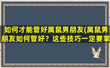 如何才能管好属鼠男朋友(属鼠男朋友如何管好？这些技巧一定要掌握！)