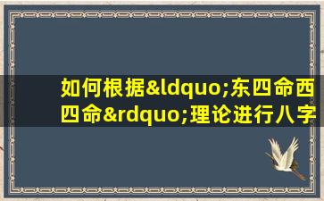 如何根据“东四命西四命”理论进行八字排盘分析