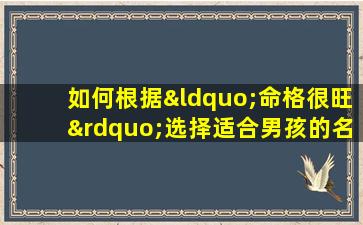 如何根据“命格很旺”选择适合男孩的名字