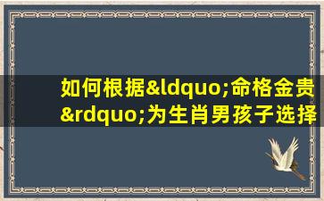 如何根据“命格金贵”为生肖男孩子选择一个吉祥的名字