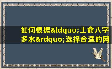 如何根据“土命八字多水”选择合适的网名