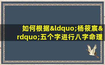 如何根据“杨筱宸”五个字进行八字命理打分