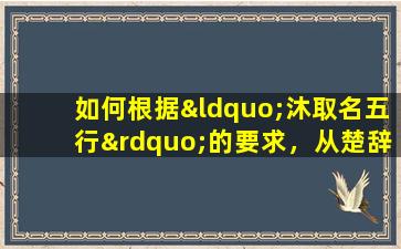 如何根据“沐取名五行”的要求，从楚辞诗经、唐诗宋词中选取合适的名字