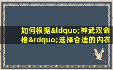 如何根据“神武双命格”选择合适的内衣套装