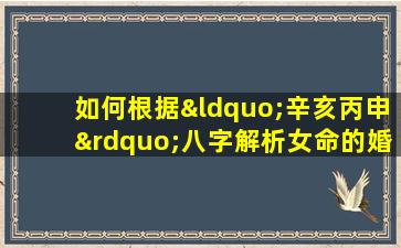 如何根据“辛亥丙申”八字解析女命的婚配情况