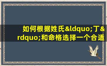 如何根据姓氏“丁”和命格选择一个合适的名字