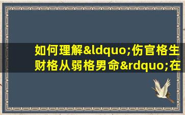 如何理解“伤官格生财格从弱格男命”在八字命理中的含义与影响