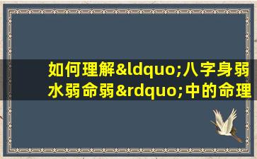 如何理解“八字身弱水弱命弱”中的命理含义