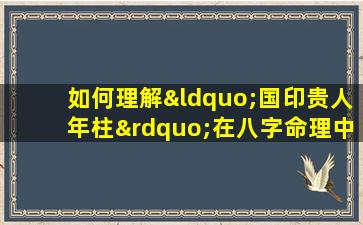 如何理解“国印贵人年柱”在八字命理中的作用与影响