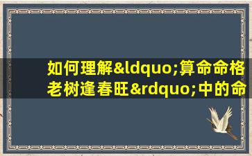 如何理解“算命命格老树逢春旺”中的命理寓意与人生启示