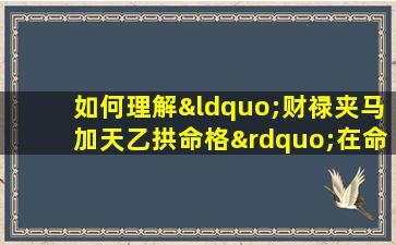 如何理解“财禄夹马加天乙拱命格”在命理学中的含义与影响