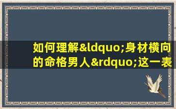 如何理解“身材横向的命格男人”这一表述