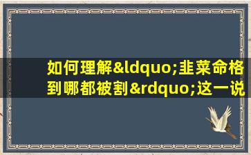 如何理解“韭菜命格到哪都被割”这一说法