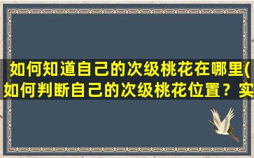 如何知道自己的次级桃花在哪里(如何判断自己的次级桃花位置？实用小技巧分享！)