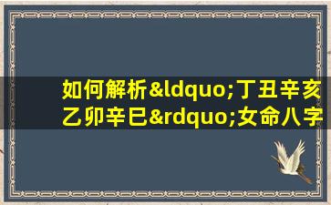 如何解析“丁丑辛亥乙卯辛巳”女命八字