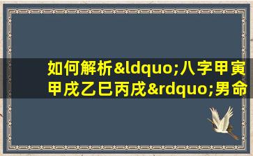 如何解析“八字甲寅甲戌乙巳丙戌”男命的命理特征