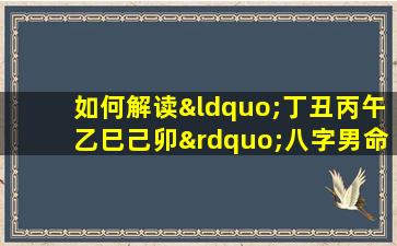 如何解读“丁丑丙午乙巳己卯”八字男命的命理特征