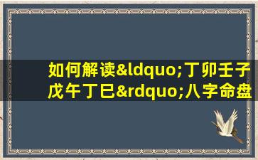 如何解读“丁卯壬子戊午丁巳”八字命盘