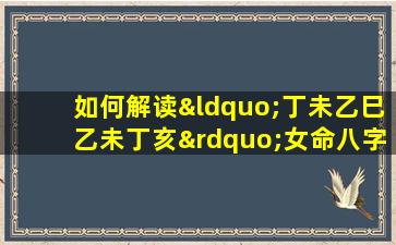 如何解读“丁未乙巳乙未丁亥”女命八字的五行平衡与命运走向