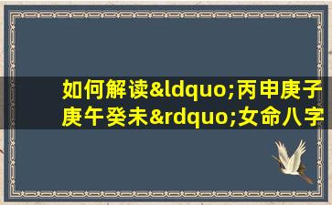 如何解读“丙申庚子庚午癸未”女命八字的命理特征