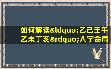 如何解读“乙已壬午乙未丁亥”八字命局