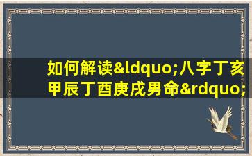 如何解读“八字丁亥甲辰丁酉庚戌男命”的命理特征