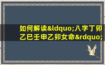 如何解读“八字丁卯乙巳壬申乙卯女命”的命理特征