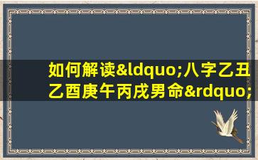 如何解读“八字乙丑乙酉庚午丙戌男命”的命理特征