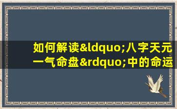 如何解读“八字天元一气命盘”中的命运信息