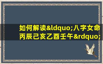 如何解读“八字女命丙辰己亥乙酉壬午”中的命理信息