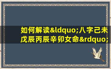 如何解读“八字己未戊辰丙辰辛卯女命”中的命理特征