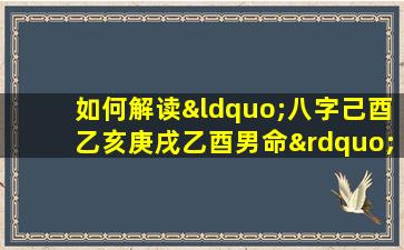 如何解读“八字己酉乙亥庚戌乙酉男命”的命理特征