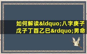 如何解读“八字庚子戊子丁酉乙巳”男命的命理特征