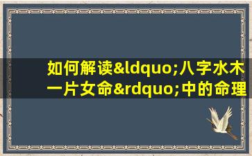 如何解读“八字水木一片女命”中的命理特征