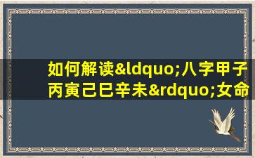 如何解读“八字甲子丙寅己巳辛未”女命的命理特征