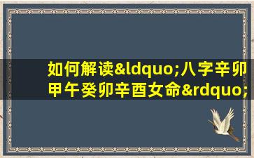 如何解读“八字辛卯甲午癸卯辛酉女命”中的命理特点