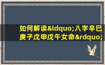 如何解读“八字辛巳庚子戊申戊午女命”的命理特点