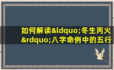 如何解读“冬生丙火”八字命例中的五行相生相克关系