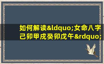 如何解读“女命八字己卯甲戌癸卯戊午”中的五行相生相克关系