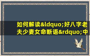 如何解读“好八字老夫少妻女命断语”中的命理含义