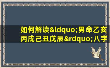 如何解读“男命乙亥丙戌己丑戊辰”八字命盘