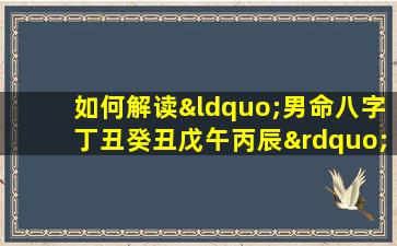 如何解读“男命八字丁丑癸丑戊午丙辰”中的五行相生相克关系