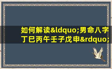 如何解读“男命八字丁巳丙午壬子戊申”中的五行相生相克关系